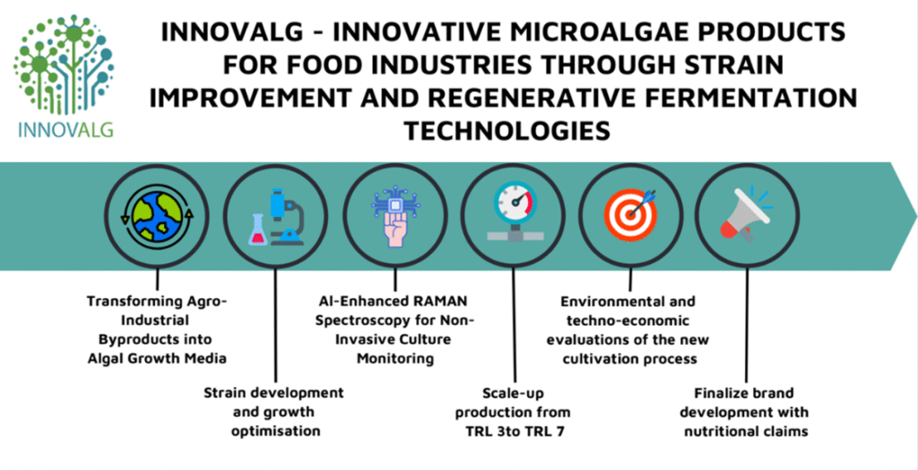 Concept overview of the INNOVALG project showing sustainable microalgae innovation steps for food applications — strain improvement, fermentation, AI monitoring, and circular bioeconomy.
