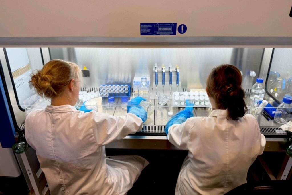 PhycoFerm researchers developing microalgae strains in a laminar flow cabinet