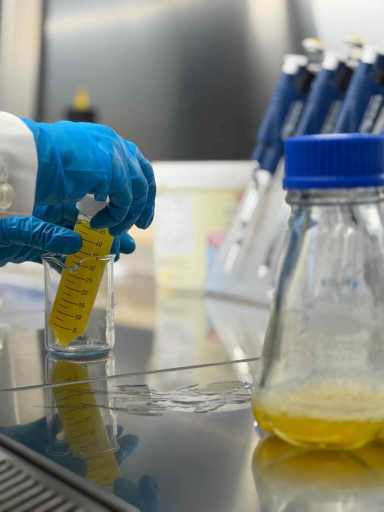 Yellow Chlorella biomass being transferred from a centrifuge tube during downstream processing