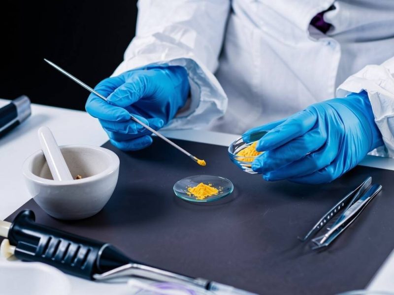 Lab technician analyzing golden microalgae powder samples